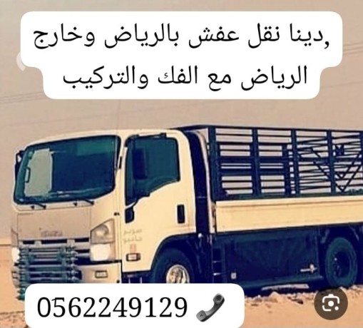 dyna-tsh-rmy-athath-aafsh-kdym-balryad-0558536373-big-0