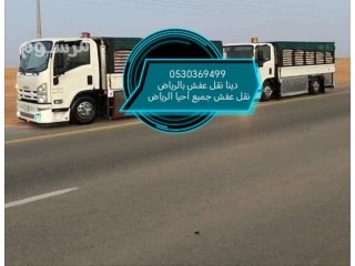 راعي دينا نقل عفش حي طويق 0530369499