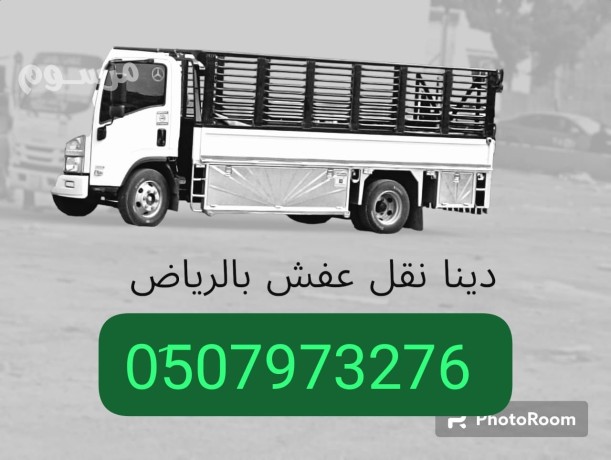dyna-nkl-aafsh-balryad-balryad-hy-alnrgs-0533286100-big-0