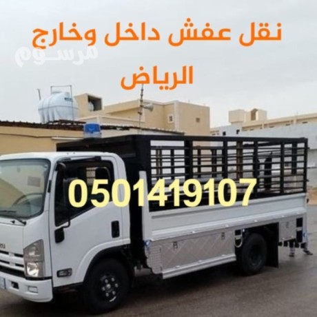 altkhls-mn-alathath-alkdym-0501419107-hy-algzyr-hy-almlz-hy-almonsy-hy-alrbo-hy-aldbat-hy-almrbaa-big-0