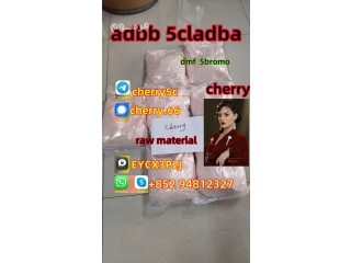 Wholesale price noids 5clad 5cladba old 5cl-adb-a powder precursor and raw materials for sale