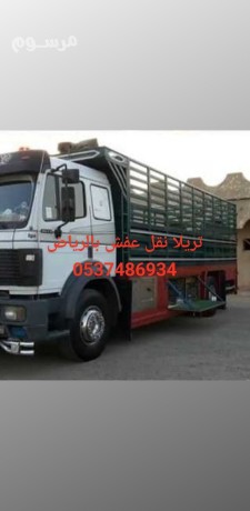 lory-nkl-aafsh-balryad-okharg-alryad-0537486934-big-0