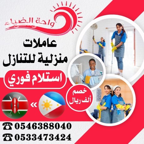 tnazl-aaamlat-mn-alflbyn-okynya-0546388040-big-0