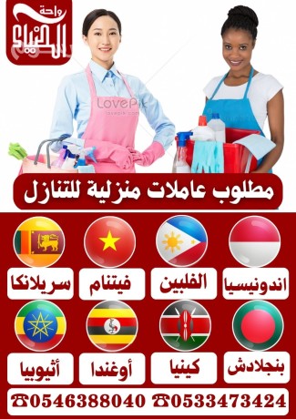 mtlob-aaamlat-mnzly-lltnazl-0546388040-big-0