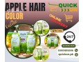 apple-hair-color-in-pakistan-shades-prices-and-where-to-buy-03001819306-small-0