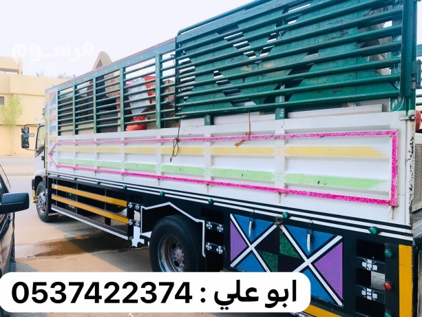 lory-nkl-aafsh-kharg-gyzan-0537422374-lory-nkl-athath-balryad-big-0