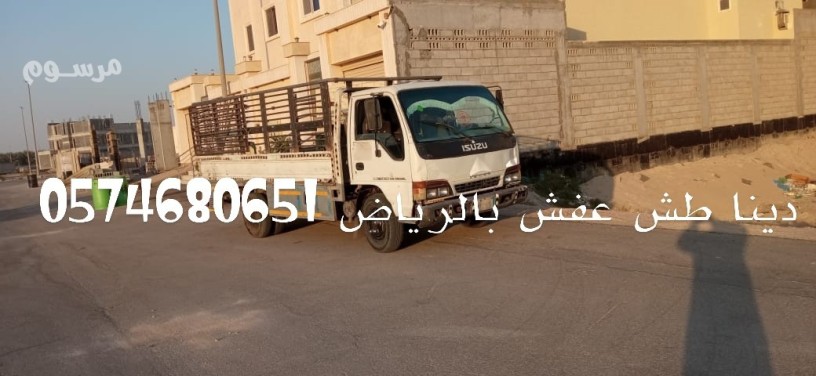 dyna-tsh-athath-mstaaml-balryad-altkhls-mn-lathath-altalf-big-0