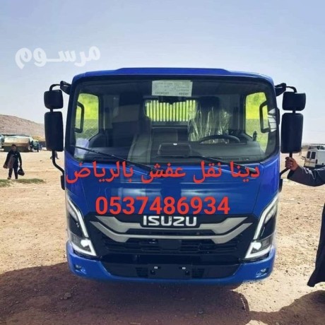 dyna-tkhls-mn-alathath-balryad0537486934-big-0