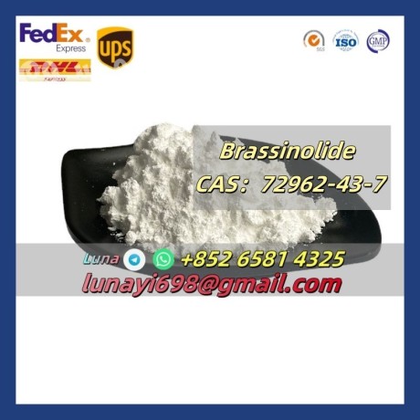 manufacturer-supply-plant-powder-brassinolide-br-cas-72962-43-7-big-0