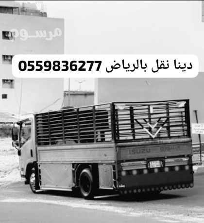 dyna-tsh-balryad-0559836277-big-0