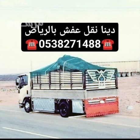 dyna-altkhls-mn-alathath-alkdym-shmal-alryad-0538271488-big-0