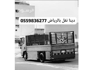 دينا توصيل الى الجمعيه الخيرية 0559836277 ودينا طش بالرياض 0559836277