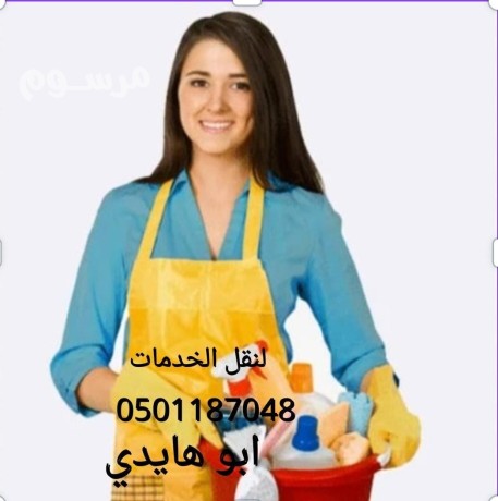 aaamlat-mnzlyh-lltnazl-big-0