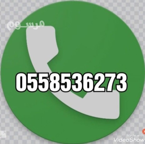 altkhls-mn-alathath-alkdym-balryad-0558536273-hy-alshfaaa-hy-bdr-big-0