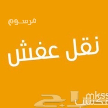 dyna-nkl-aafsh-bshmal-alryad0537486934-big-0