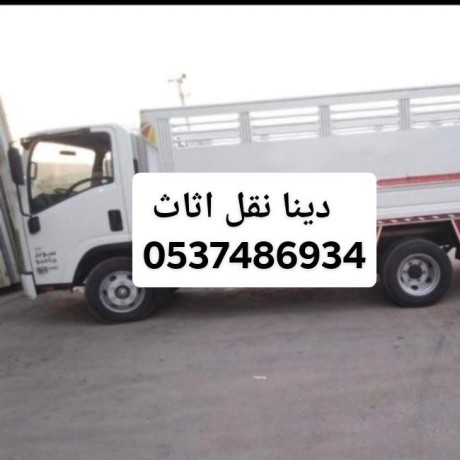 dyna-tsh-alaafsh-alkdym-balryad0537486934-big-1