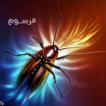 shrk-mkafh-alfyran-bgd-tsaa-gahd-llkdaaa-aal-hthh-alafat-big-0