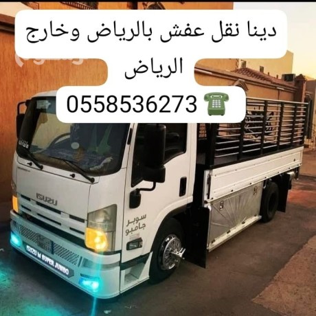 dyna-nkl-aafsh-mn-alryad-aly-tbok-0558536273-gdh-gazan-aldmam-big-0
