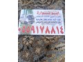 shrk-athath-mstaaml-gnob-alryad-small-0