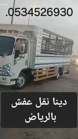 gmaay-khyry-balryad-takhth-alathath-almstaaml-0534526930-big-0