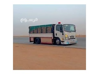 دينا نقل عفش داخل الرياض و خارج الرياض