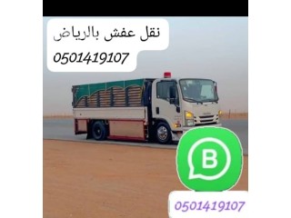 دينا طش الاثاث التالف والخربان 0501419107 الرياض