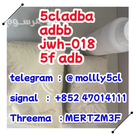 5cladba-adbb-raw-materials-jwh-018-5f-adb-precursor-big-0