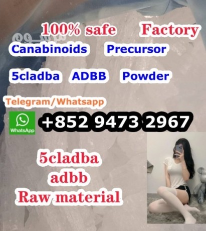 5cladba-raw-materials-spot-suppliers-5cl-adb-safest-and-fastest-delivery-big-0