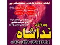 divorce-problem-expert-contact-number-astrologer-expert-in-black-magic-amil-baba-in-islamabad-online-amil-baba-in-rawalpindi-small-1
