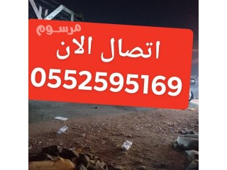 دينا نقل عفش حي القدسي بالرياض 0552595169