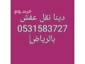 dyna-nkl-aafsh-ghrb-alryad-0531583727-small-0