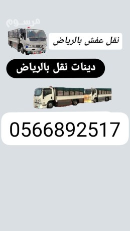 dyna-tsh-alathath-alkdym-balryad-hy-alrodh-big-0