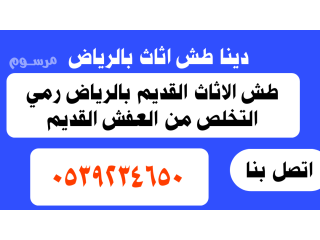 دينا طش العفش بالرياض 0539234650