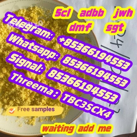 853661945535cladbaadbbjwh-0185fadb4fadbsgtcannabinoids-big-0