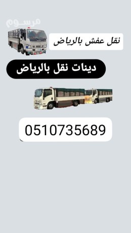 altkhls-mn-alathath-alkdym-balryad-0507973276-tsh-azal-alathath-big-0
