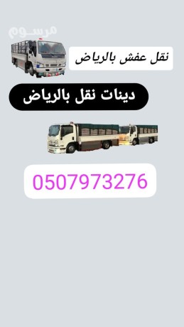 dyna-tsh-rmy-aafsh-kdym-talf-balryad-0507973276-big-1