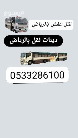 dyna-tsh-rmy-aafsh-kdym-talf-balryad-0507973276-big-0
