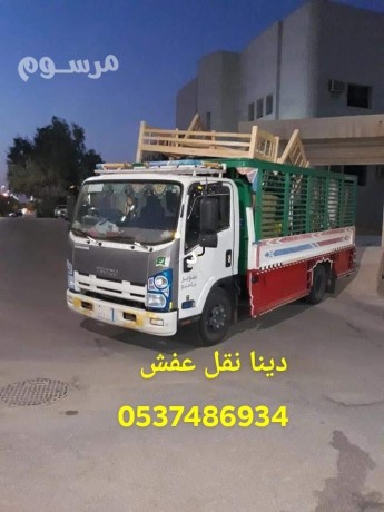 dnya-nkl-aafsh-onkl-athath-balryad-0537486934-big-0