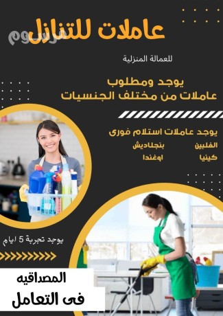 mtlob-aaamlat-lltnazl-mn-gmyaa-algnsyat-big-0