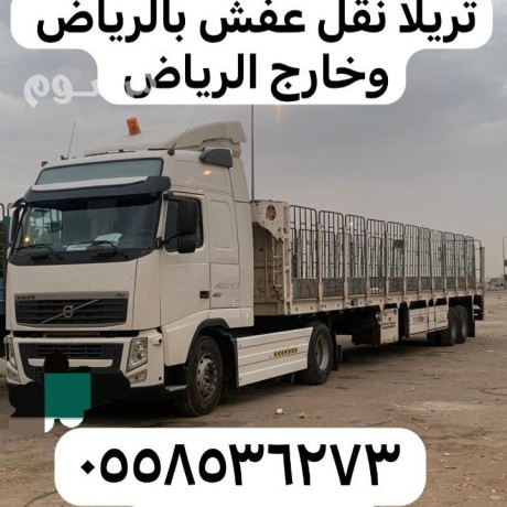 tryla-goanb-mshoar-balryad-0558536273-sahb-tryla-nkl-aafsh-balryad-big-0