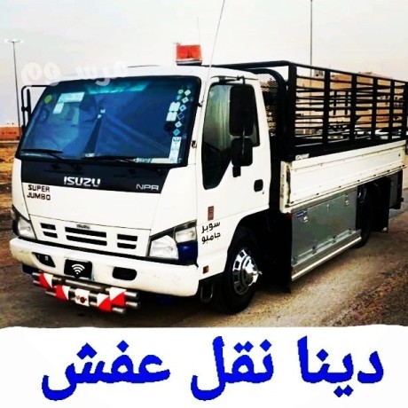 dyna-nkl-aafsh-hy-almtar-big-0