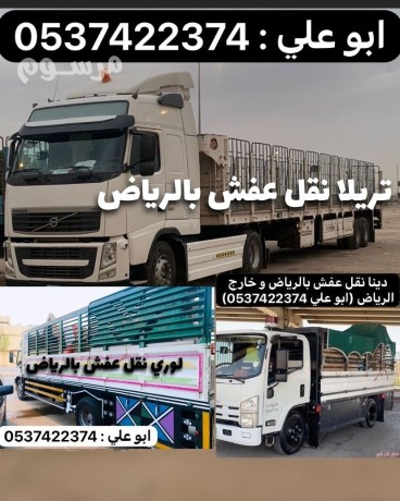 lory-tosyl-mshaoyr-balryad-0537422374-arkam-loary-nkl-balryad-big-0