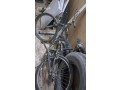 dyna-tsh-rmy-atkhls-mn-alathath-alkdym-balryad-0558536273-tsh-alaafsh-almksr-small-0